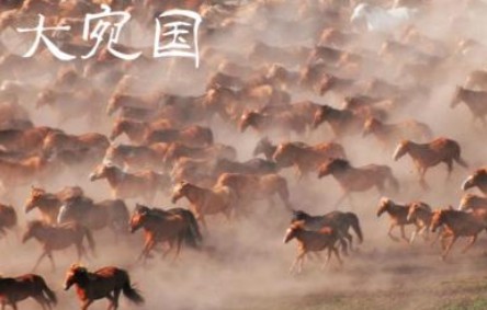 大宛国
